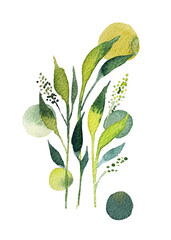 Set of watercolor design elements of a collection of flowers, leaves, branches, circles, botanical illustration on white background