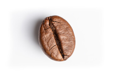 macro shot of coffee bean - high detail