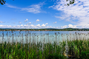 Reichenau, Insel Reichenau, Bodensee, Seeufer, Schilf, Wasservögel, Naturschutz, Uferweg, Wanderweg, Frühling, Allensbach, Baden-Württemberg, Deutschland