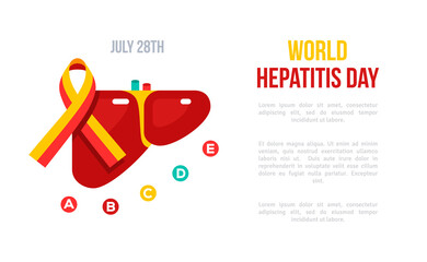 World hepatitis day poster, flat liver icon, red and yellow award ribbon. Vector illustration. Viral hepatic type, a, b, c, hcv, hav. Medical flyer, brochure or card - obrazy, fototapety, plakaty