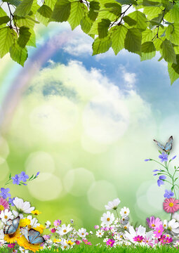 summer photo frame with delicate flowers and butterflies and tree foliage against a cloudy sky and rainbow