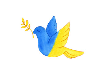 dove of peace with palm twig in colors of ukraine flag