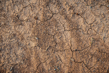 Looking down on dry red dirt edged with grass, cracked earth, pebbles, and green grass, useful as a...