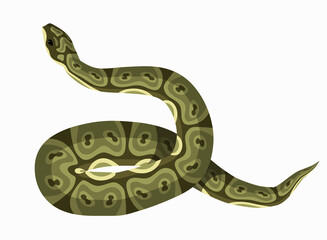 viper snake green reptile serpent - 507544503
