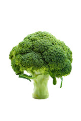 broccoli isolated on white background