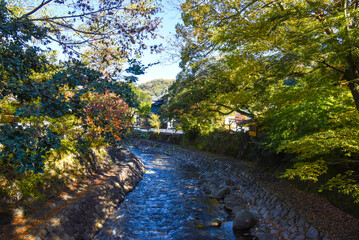 伊豆　修善寺　桂川の紅葉