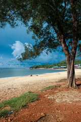 Fototapeta na wymiar Beach with trees. Singkawang, West Kalimantan.