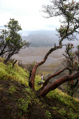 Bromo Tengger National Park in the morning