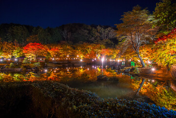 修善寺の紅葉ライトアップ