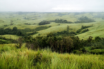 Obraz premium Green hills in Kalimantan