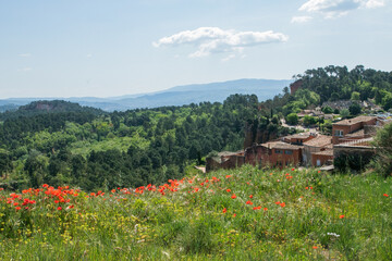 Fototapeta na wymiar French Countryside Provence Poppies View