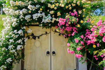 Fototapete bei efototapeten.de bestellen   