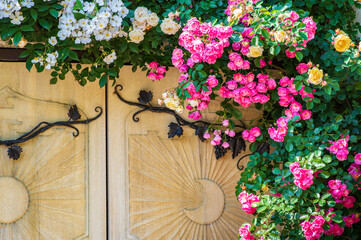 Fototapete bei efototapeten.de bestellen   