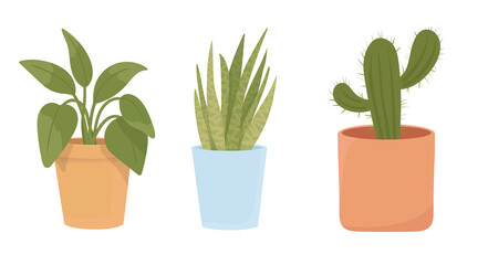 Home potted plants. Houseplants in plant pots, flower potted plant, green leaves interior decoration isolated illustration icons set. Ceramic containers and vase with sansevieria, dracaena, cactus 