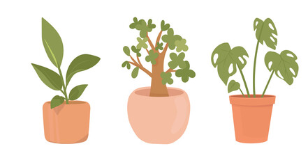 Home potted plants. Houseplants in plant pots, flower potted plant, green leaves interior decoration isolated illustration icons set. Ceramic containers and vase with bonsai, rubber plant, monstera