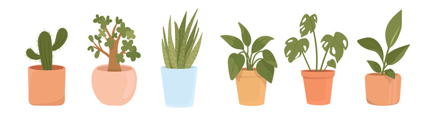 Trendy home decor with plants, rubber plant, sansevieria, dracaena, cactus, monstera, spathiphyllum. Tropical leaves in stylish planters and pots. Houseplants isolated. Vector illustration.