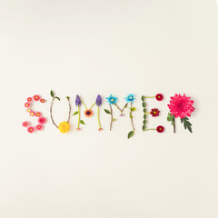 Word summer made of colorful flowers on a bright background. Spring or summer concept. Flat lay