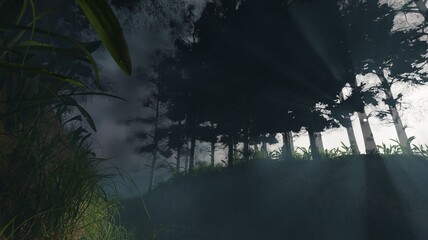 3d render pine forest and morning mist sunlight scenery nature wallpaper backgrounds