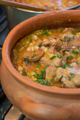 THE LOCRO OF MAY 25