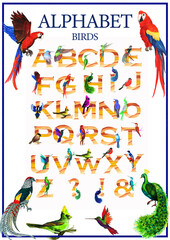 Obraz premium Watercolor poster alphabet with animals,children's tutorial,A-1 printable picture.