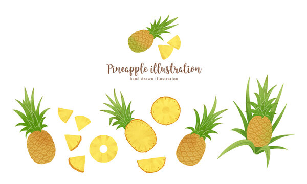 パインアップル Images Browse 1 381 Stock Photos Vectors And Video Adobe Stock