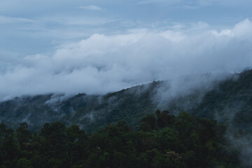 Landscape image of greenery rainforest mountains and hills on foggy day
