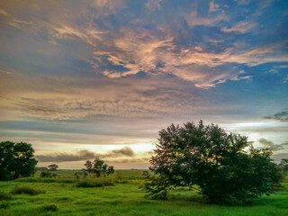 el atardecer rosada