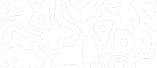 Abstract topographic contours map background. Vector geographic contour map. topography map background.  White wave paper curved reliefs abstract background. 
