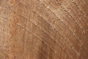 natural motifs on wood