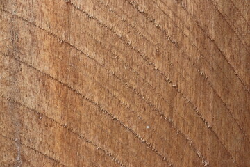 natural motifs on wood