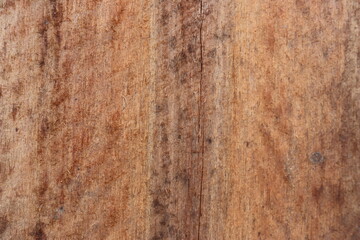 natural motifs on wood