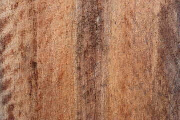 natural motifs on wood