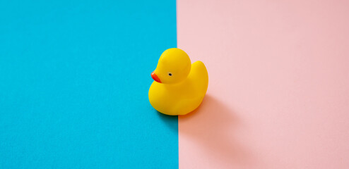 Rubber bath duck on pastel pink blue color background. Yellow float duck toy, play and fun for kid