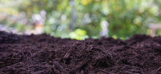 Soil texture blur background. Dirt, earth, ground. Agriculture and garden work template.