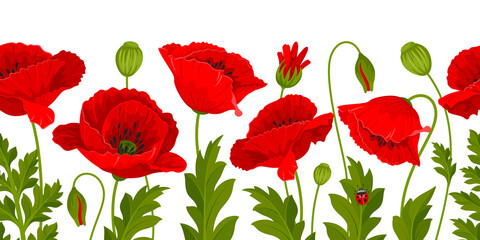Horizontal seamless border with pattern of red poppy flowers, leaves and poppy seed pods on a white background. Vector illustration