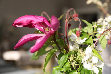 Bouquet with magnolia in a vase on the table
