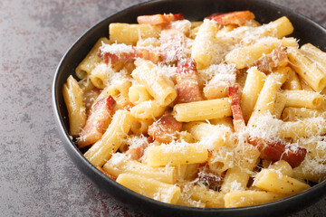 Pasta alla Gricia typical italian pasta with pecorino cheese and guanciale closeup in the plate on the table. Horizontal
