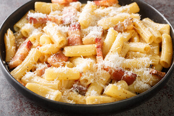 Pasta alla gricia plate of delicious italian pasta with guanciale and pecorino, typical italian and roman food closeup in the plate on the table. Horizontal
