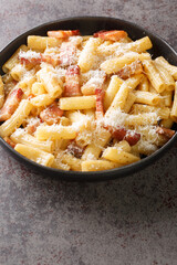 Pasta alla gricia is a dish consists of Rigatoni, Pecorino romano, black pepper and Guanciale closeup in the plate on the table. Vertical