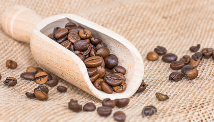 Coffee beans on burlap