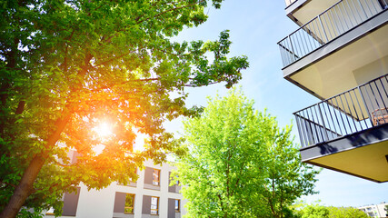 Urban residential architecture close to nature. Green trees near residential city blocks. An innovative approach to residential architecture.