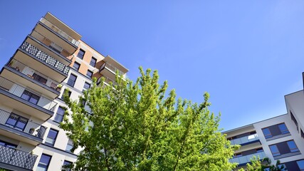 Urban residential architecture close to nature. Green trees near residential city blocks. An innovative approach to residential architecture.