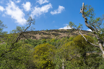 Look up to the hills