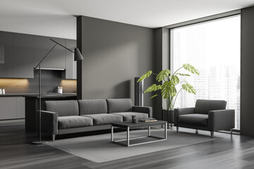 Studio flat with kitchen interior, couch near window. corner view. Copy space wall