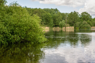 Fototapeta na wymiar Ufer an einem See