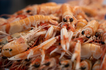 shrimp which in the fish market stacked on top of each other on light ice