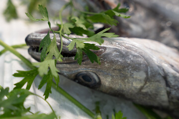 fish in a fish market stacked on top of each other on light ice and the fish are looking directly at you