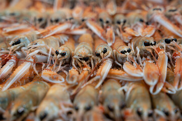 shrimp which in the fish market stacked on top of each other on light ice