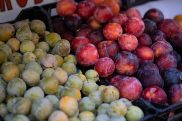 plum sun nectarines put in boxes and standing on the street to market