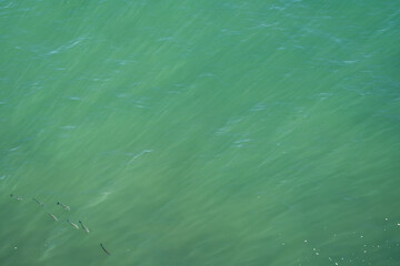 close-up of blue-green ocean water where some fish can be seen underwater